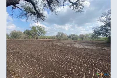 1776 Fm 1351, Goliad, TX 77963 - Photo 5