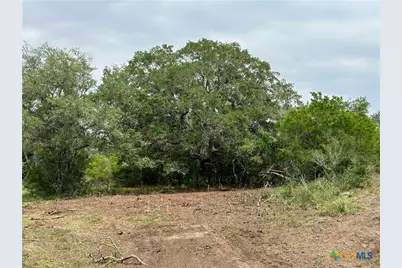 1776 Fm 1351, Goliad, TX 77963 - Photo 9