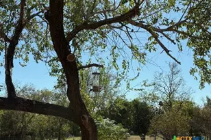 151 Rose Ln, Salado, TX 76571 - Photo 7