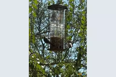 151 Rose Lane, Salado, TX 76571 - Photo 29