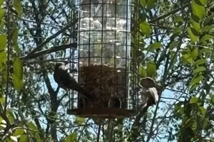 151 Rose Ln, Salado, TX 76571 - Photo 29