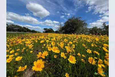 15395 E State Hwy 111, Yoakum, TX 77995 - Photo 3