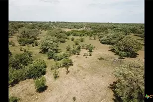 15395 E State Hwy 111, Yoakum, TX 77995 - Photo 11