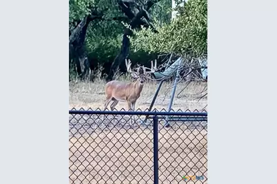 400 Indian Hills Road, Gatesville, TX 76528 - Photo 41