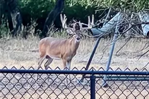 400 Indian Hills Rd, Gatesville, TX 76528 - Photo 41