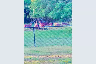 400 Indian Hills Road, Gatesville, TX 76528 - Photo 3