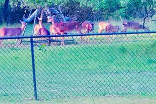 400 Indian Hills Rd, Gatesville, TX 76528 - Photo 3