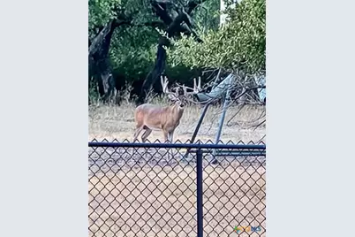 400 Indian Hills Road, Gatesville, TX 76528 - Photo 41