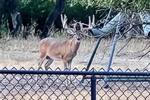 400 Indian Hills Rd, Gatesville, TX 76528 - Photo 41