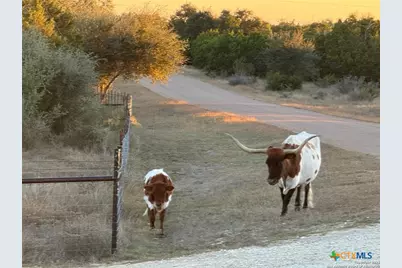 1041 Homestead Ridge, New Braunfels, TX 78132 - Photo 39