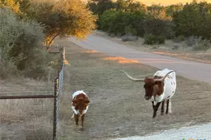 1041 Homestead Ridge, New Braunfels, TX 78132 - Photo 39
