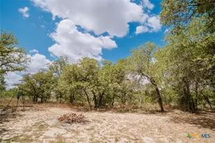 205 Sendera Crossing, La Vernia, TX 78121 - Photo 45