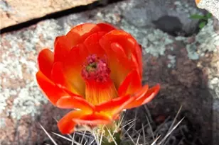 0 Ridge Rd, Burnet, TX 78611 - Photo 21