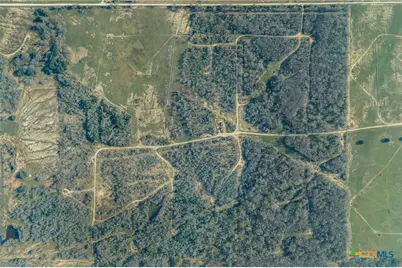 1144 Treetop Lane, Luling, TX 78648 - Photo 33