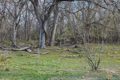 1144 Treetop Lane, Luling, TX 78648 - Photo 19