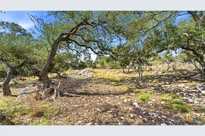 1013 Napoli, New Braunfels, TX 78132 - Photo 15