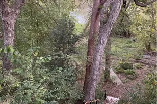 121 Butler Ln, Martindale, TX 78655 - Photo 15