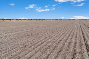 000 Fm 234, Edna, TX 77957 - Photo 17