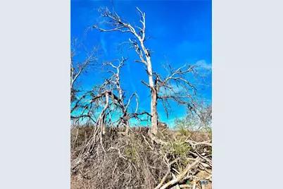 Tbd Tract H Scull Rd, Martindale, TX 78655 - Photo 9