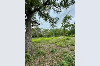 637 Cr 281, Harwood, TX 78632 - Photo 7