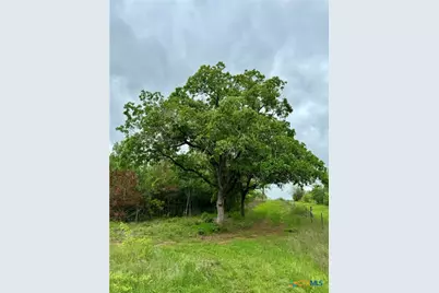 637 Cr 281, Harwood, TX 78632 - Photo 9