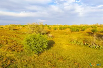 Tract 7 Fm 1117, Seguin, TX 78155 - Photo 19