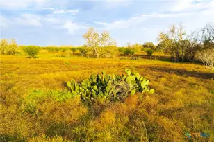 Tract 7 Fm 1117, Seguin, TX 78155 - Photo 13