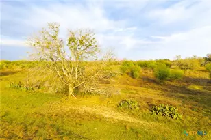 Tract 7 Fm 1117, Seguin, TX 78155 - Photo 35