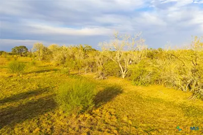 Tract 7 Fm 1117, Seguin, TX 78155 - Photo 29