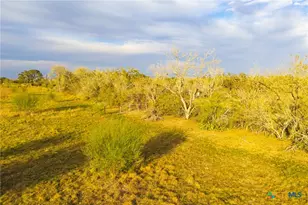 Tract 7 Fm 1117, Seguin, TX 78155 - Photo 29