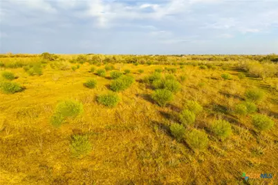 Tract 7 Fm 1117, Seguin, TX 78155 - Photo 25