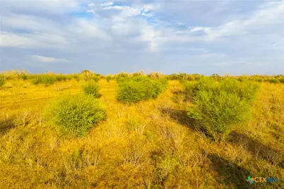 Tract 7 Fm 1117, Seguin, TX 78155 - Photo 27