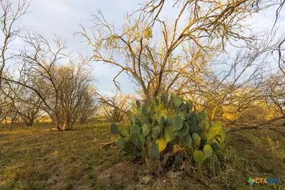Tract 7 Fm 1117, Seguin, TX 78155 - Photo 15