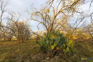Tract 7 Fm 1117, Seguin, TX 78155 - Photo 15