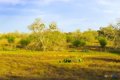 Tract 7 Fm 1117, Seguin, TX 78155 - Photo 9