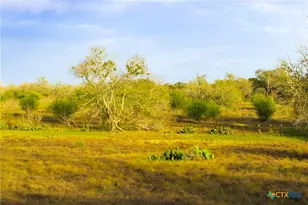 Tract 7 Fm 1117, Seguin, TX 78155 - Photo 9