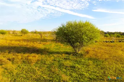 Tract 7 Fm 1117, Seguin, TX 78155 - Photo 7