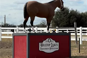 33 Fairway Dr, Hilltop Lakes, TX 77871 - Photo 7