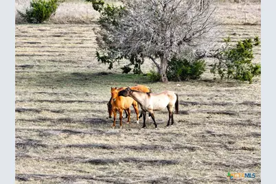 5542 Fm 2484, Salado, TX 76571 - Photo 19