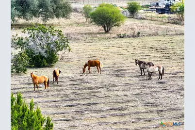 5542 Fm 2484, Salado, TX 76571 - Photo 13