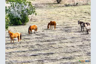 5542 Fm 2484, Salado, TX 76571 - Photo 11