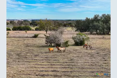 5542 Fm 2484, Salado, TX 76571 - Photo 15