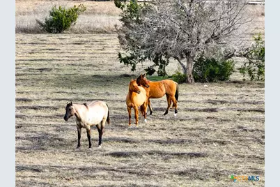 5542 Fm 2484, Salado, TX 76571 - Photo 21