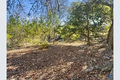 1075 Pegasus Drive, Spring Branch, TX 78070 - Photo 13