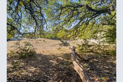 1075 Pegasus Drive, Spring Branch, TX 78070 - Photo 9