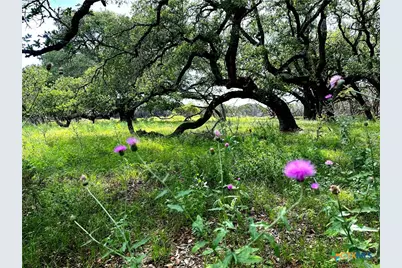 285 Donnie Drive, Lampasas, TX 76550 - Photo 19