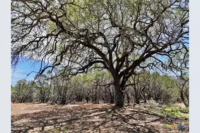 285 Donnie Drive, Lampasas, TX 76550 - Photo 5