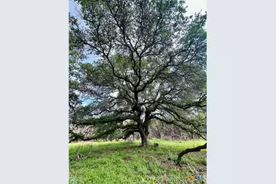 285 Donnie Drive, Lampasas, TX 76550 - Photo 15