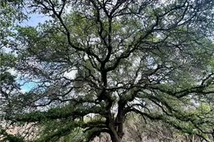 285 Donnie Dr, Lampasas, TX 76550 - Photo 15