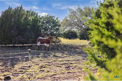 111 County Road 253, Bertram, TX 78605 - Photo 35
